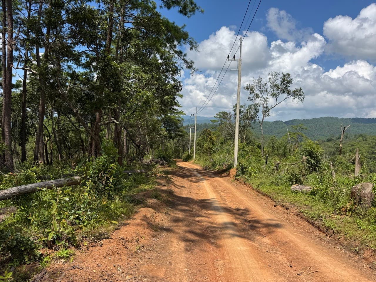 The Tail of the Elephant — photo 9