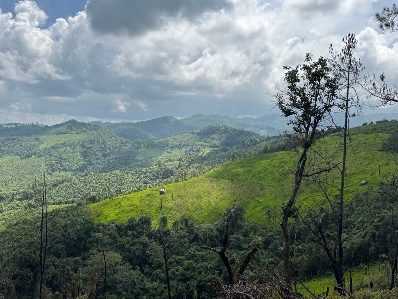 The Tail of the Elephant — photo 14