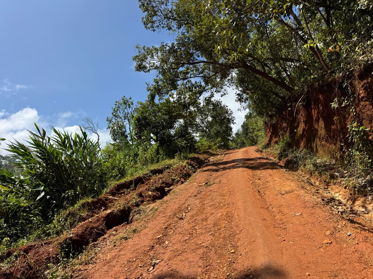 The Tail of the Elephant — photo 30
