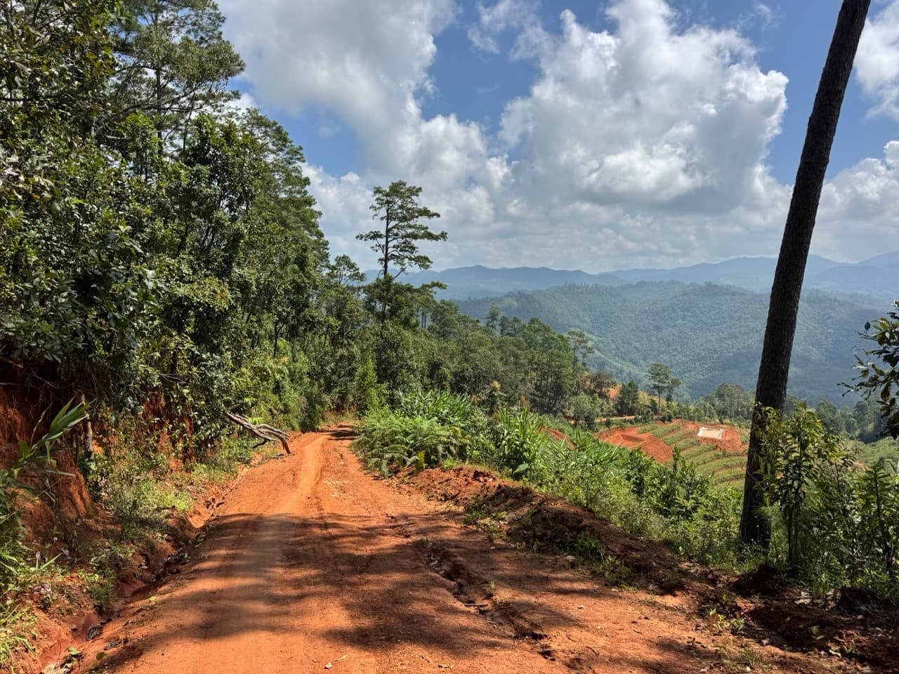 The Tail of the Elephant — photo 31