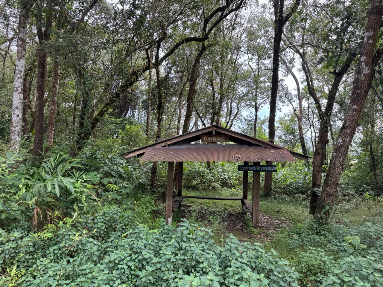 The Tail of the Elephant — photo 35