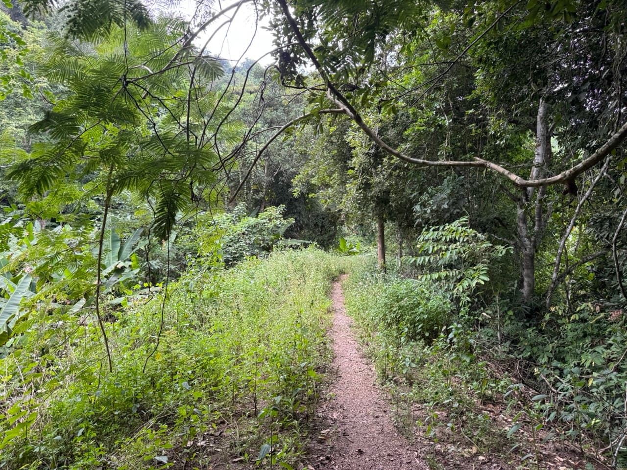 The Doi Luang Loop — photo 4