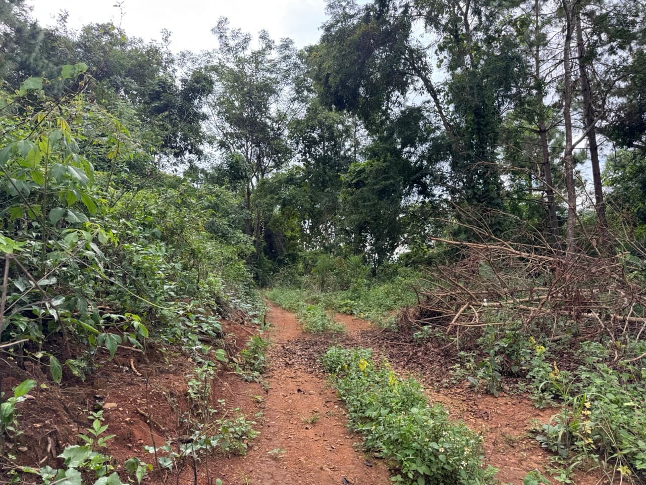 The Doi Luang Loop — photo 5