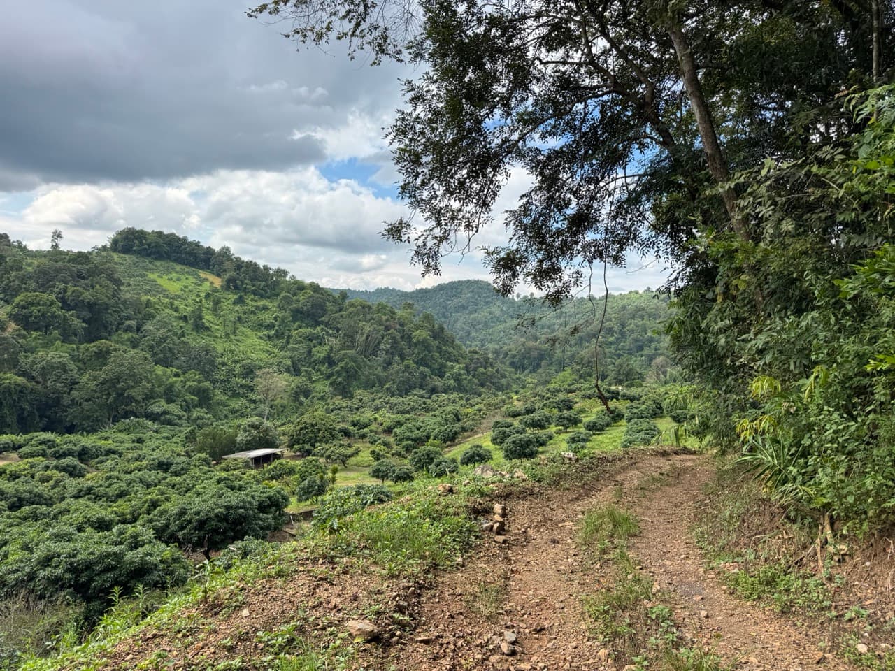 The Doi Luang Loop — photo 8