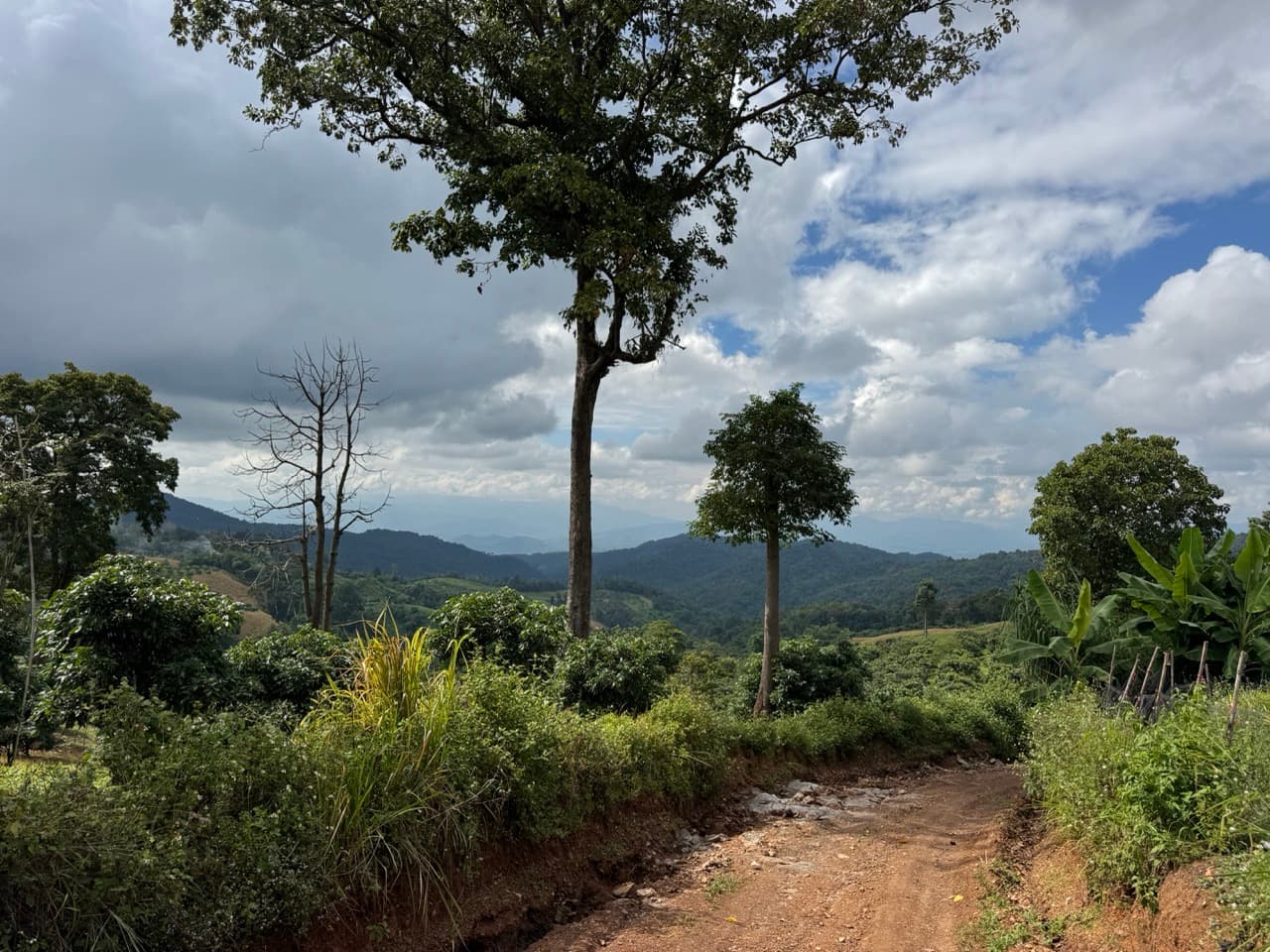 The Doi Luang Loop — photo 11