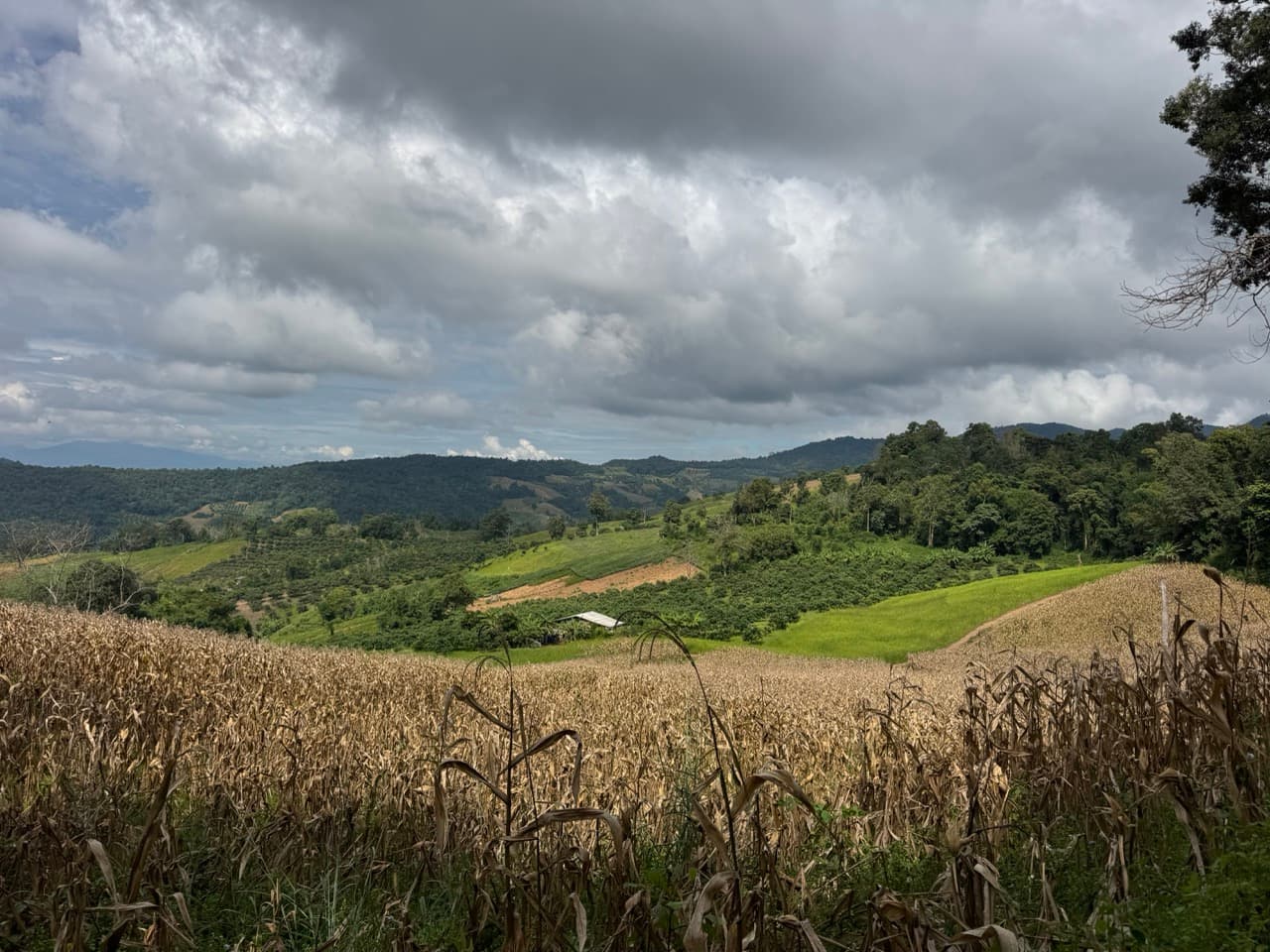 The Doi Luang Loop — photo 13