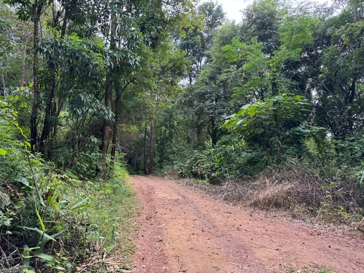 The Doi Luang Loop — photo 16