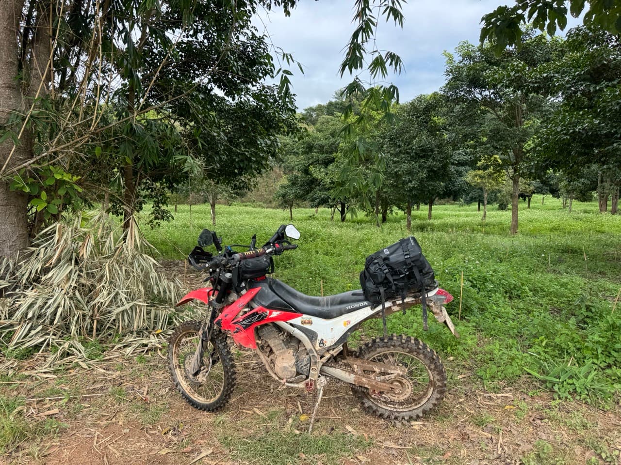 The Doi Luang Loop — photo 17