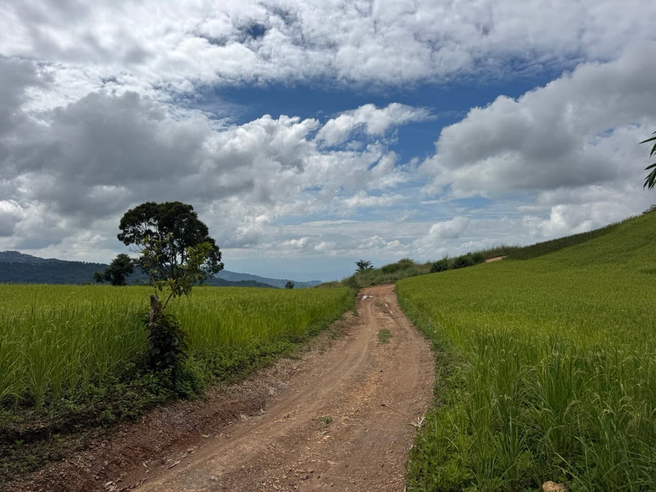 The Doi Luang Loop — photo 18