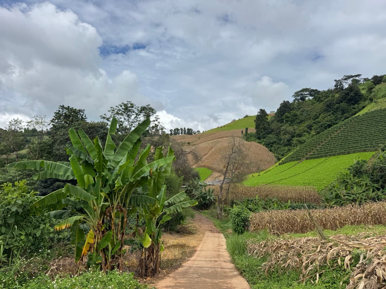 The Doi Luang Loop — photo 19