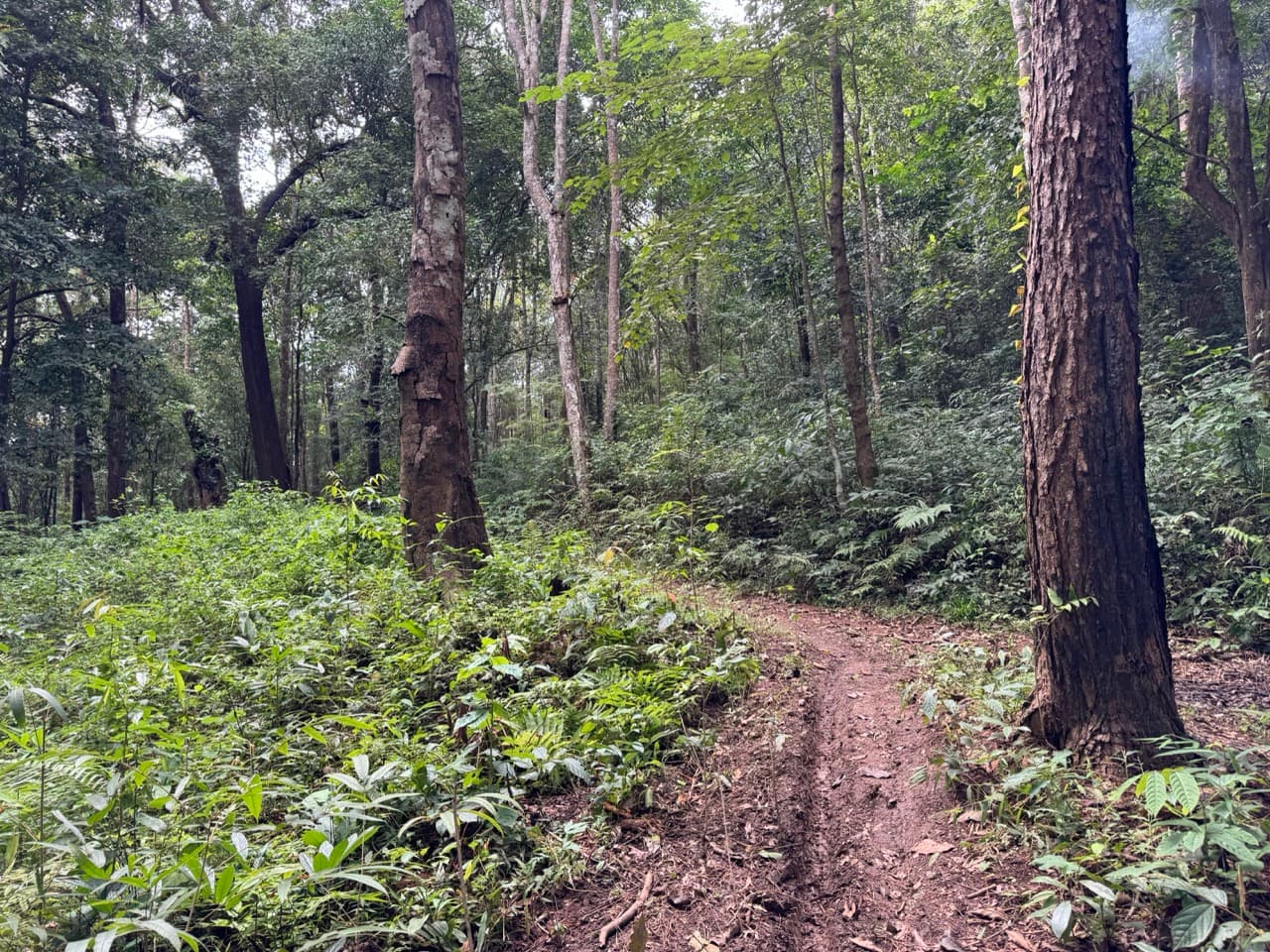 The Doi Luang Loop — photo 21