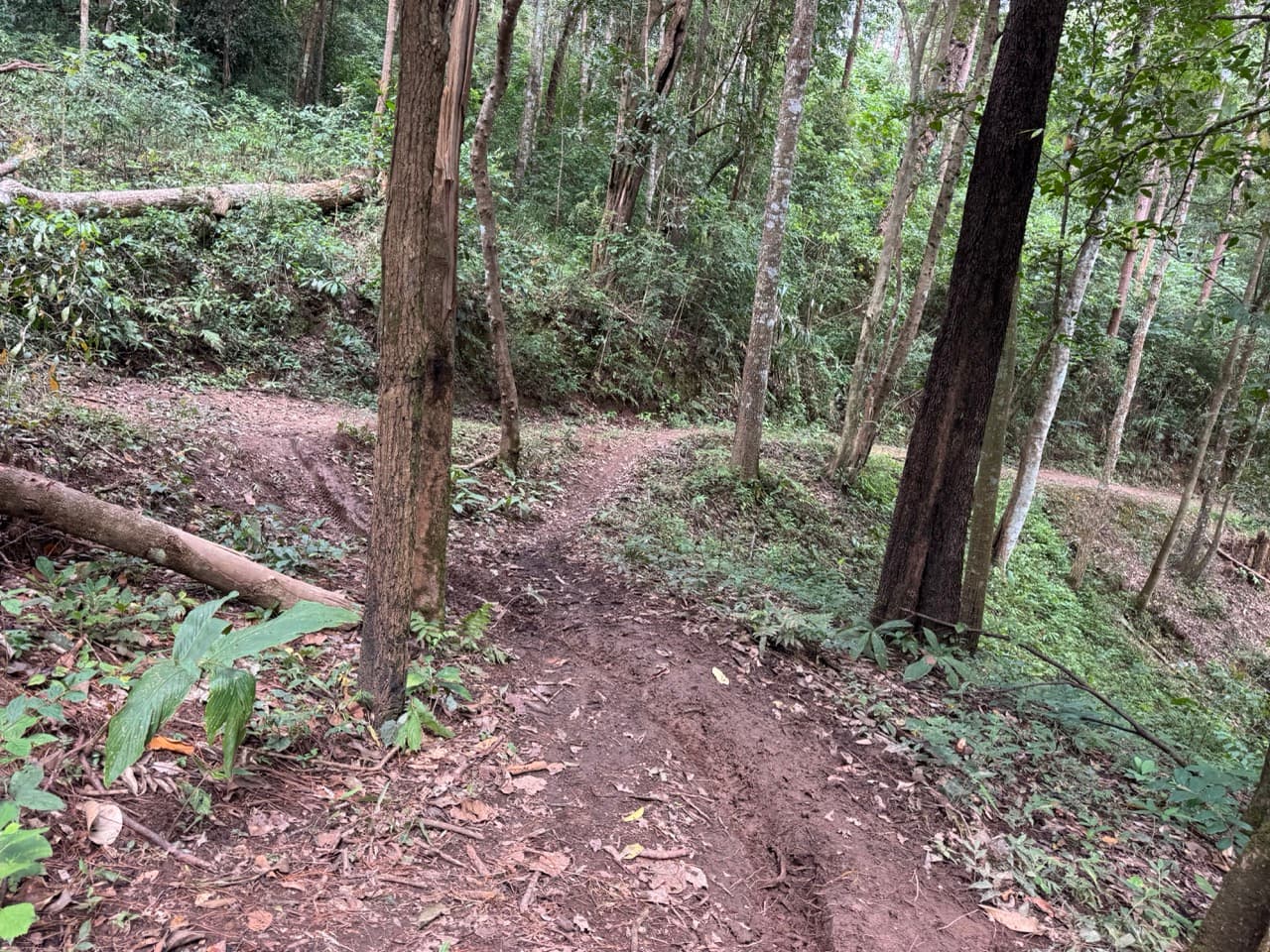 The Doi Luang Loop — photo 22