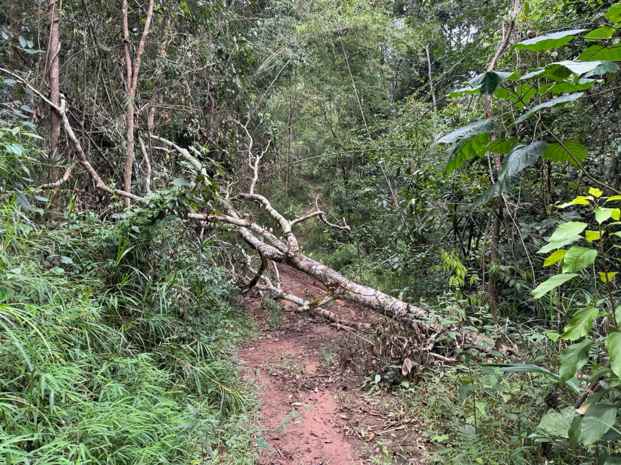 The Doi Luang Loop — photo 26