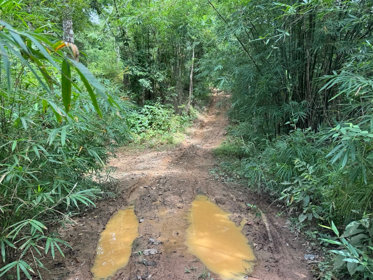 The Doi Luang Loop — photo 27