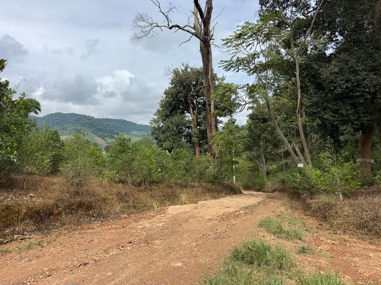 The Doi Luang Loop — photo 30