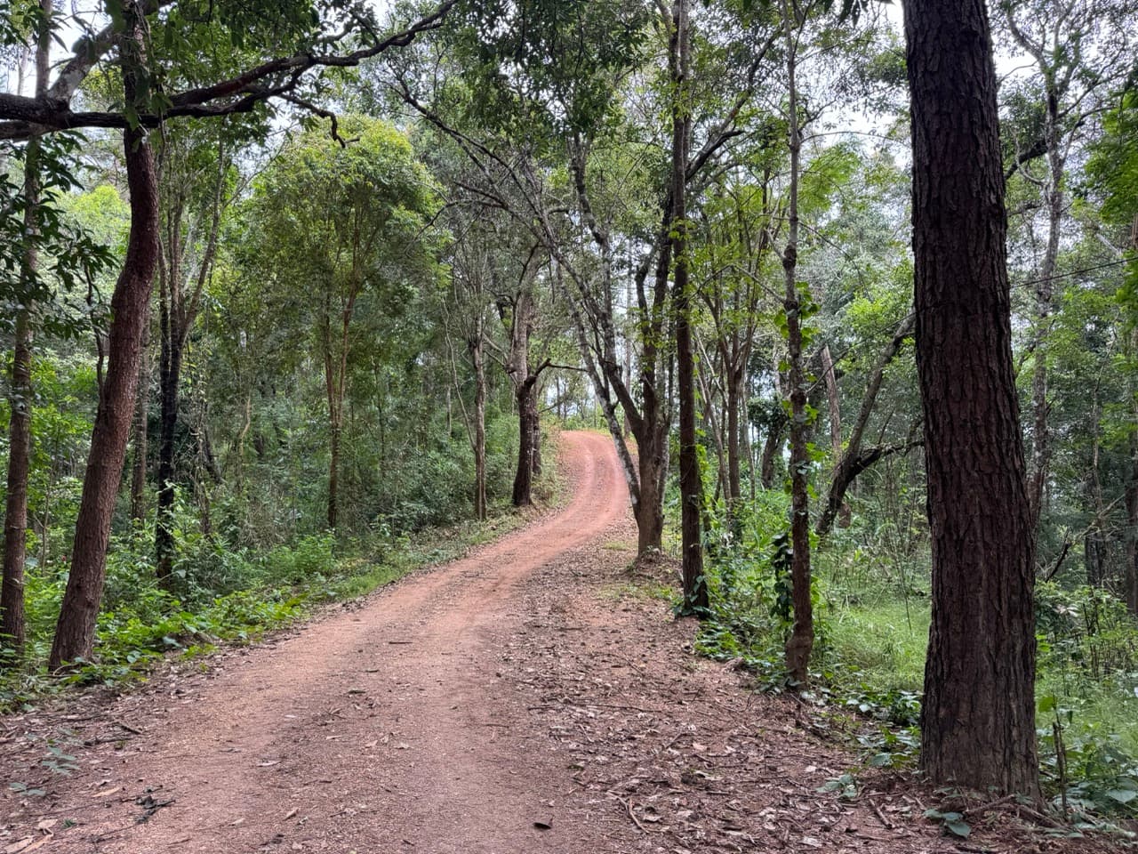 The Doi Luang Loop — photo 32