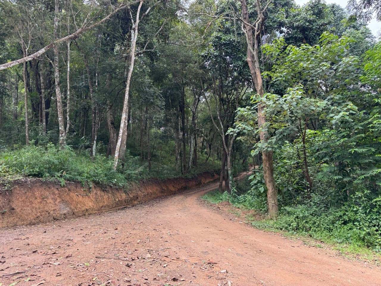 The Doi Luang Loop — photo 34