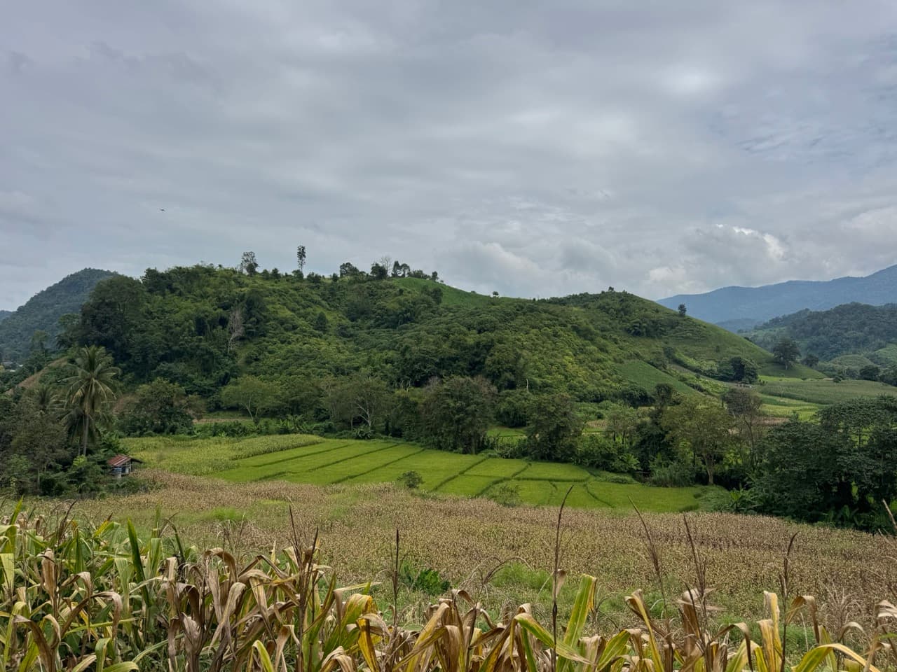 The Doi Luang Loop — photo 38