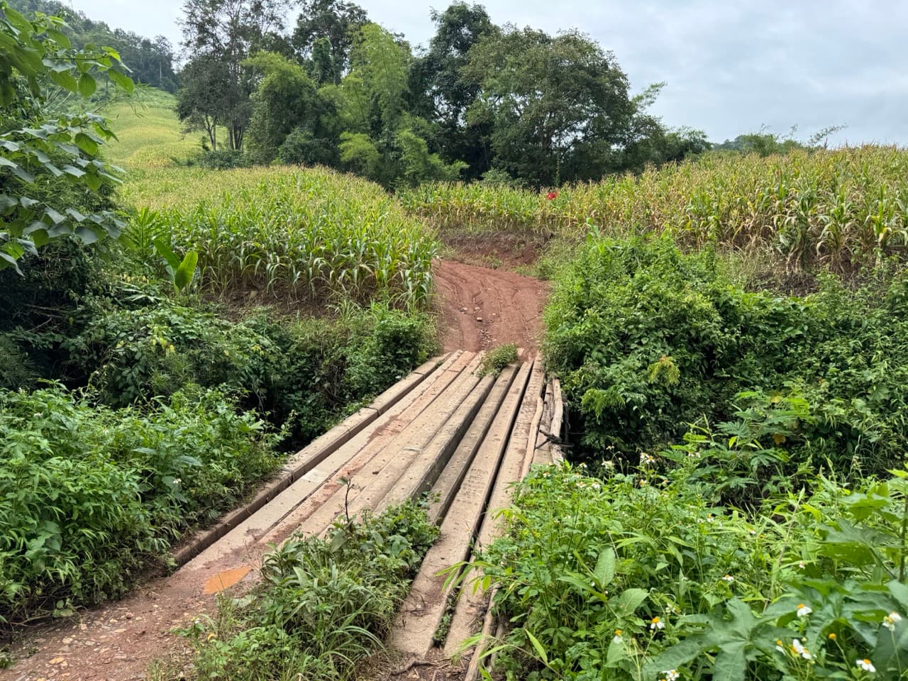 The Doi Luang Loop — photo 40