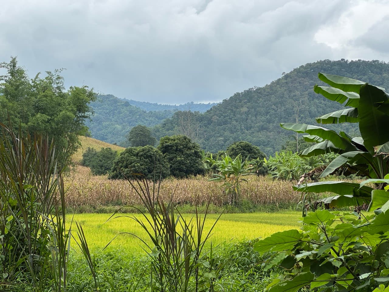 The Doi Luang Loop — photo 49