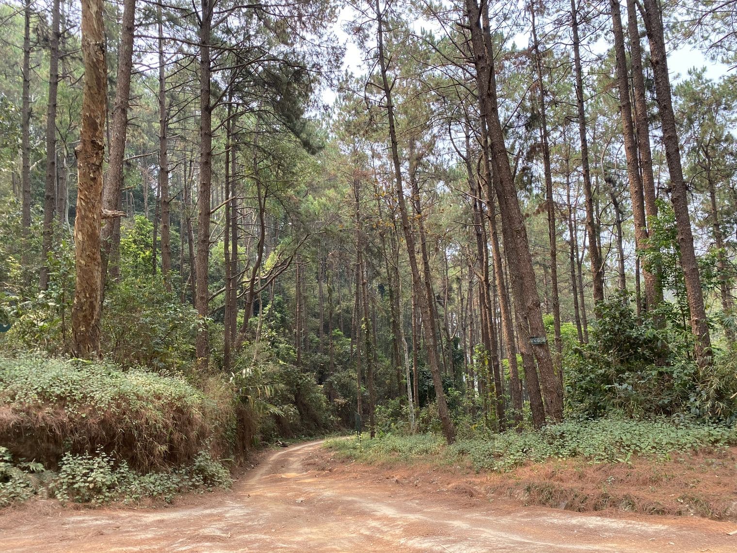 Phrao Northern Arc — photo