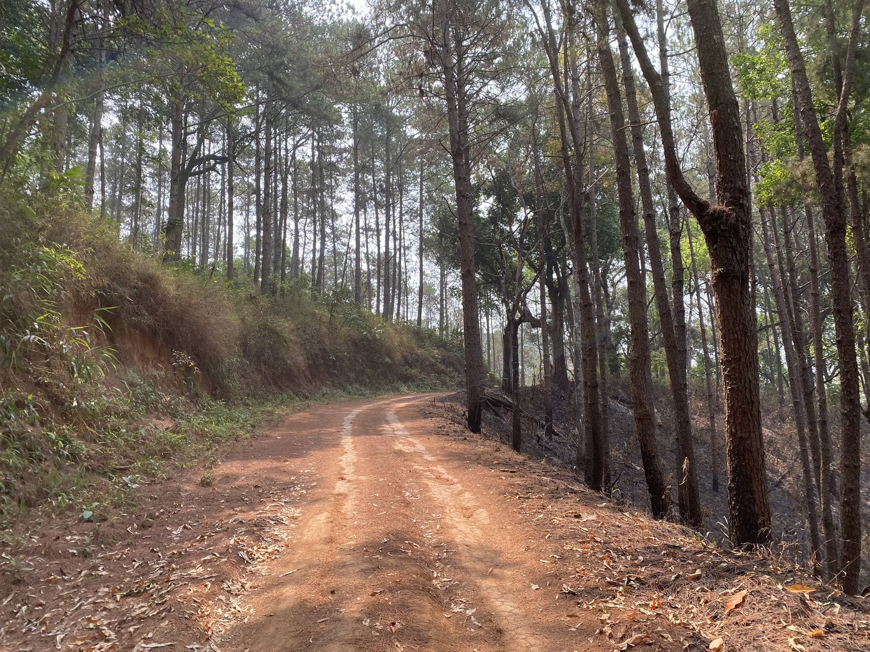 Phrao Northern Arc — photo 4