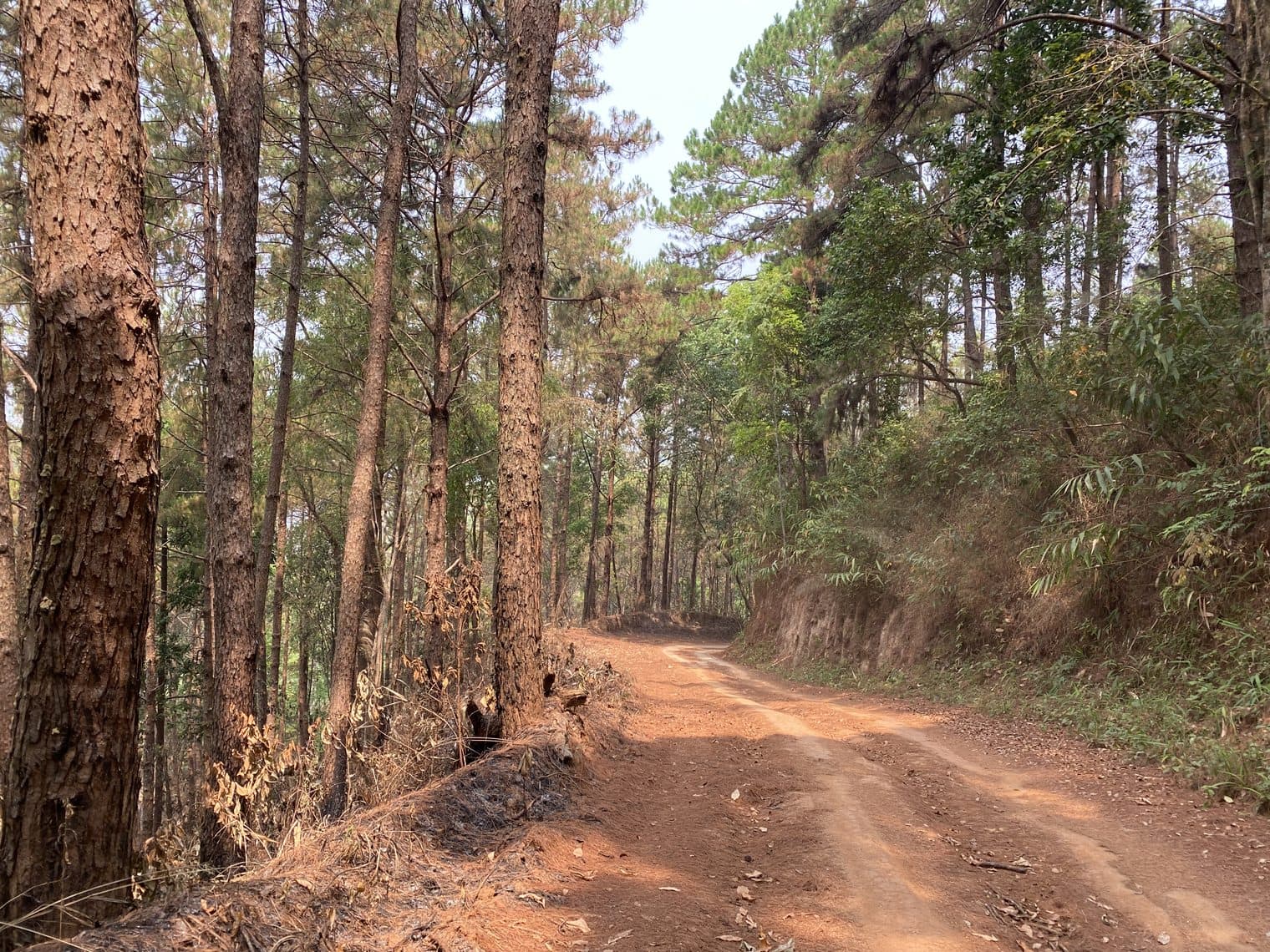 Phrao Northern Arc — photo 5