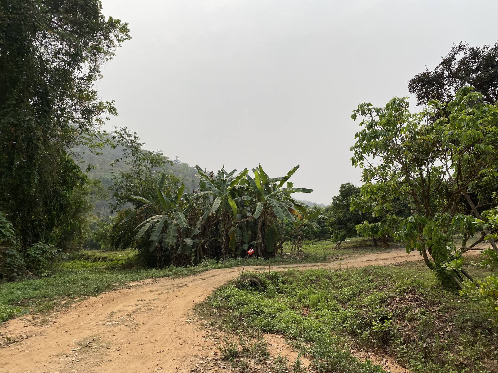Phrao Northern Arc — photo 16