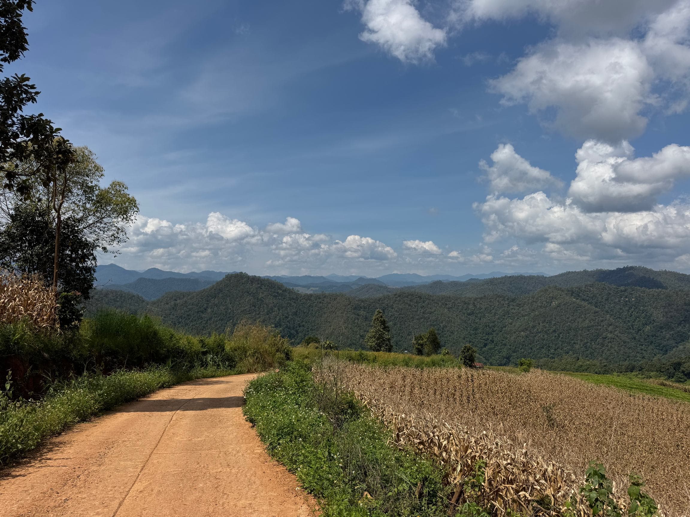 Mae Sa to Mae Chaem - The Long Way — photo 4