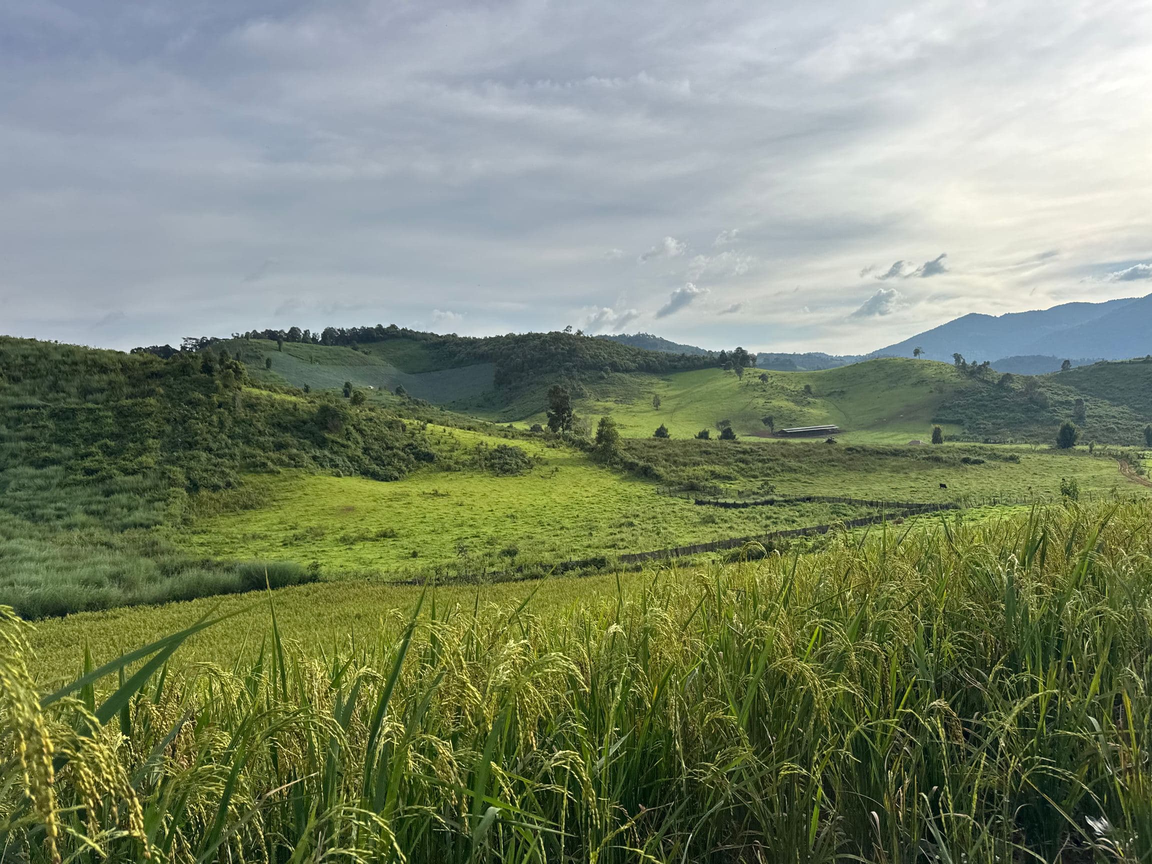 Mae Sa to Mae Chaem - The Long Way — photo 5