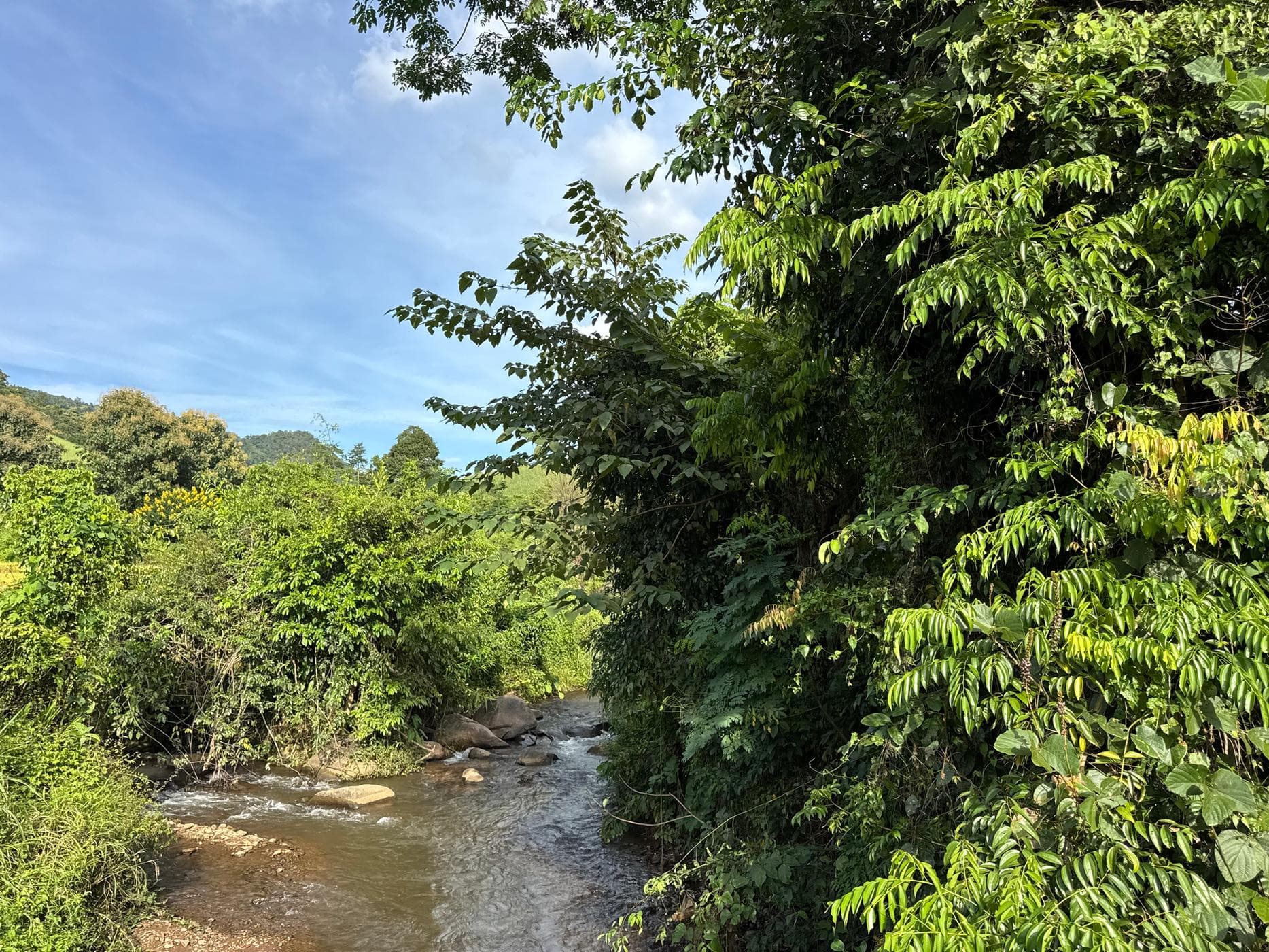 Mae Sa to Mae Chaem - The Long Way — photo 7