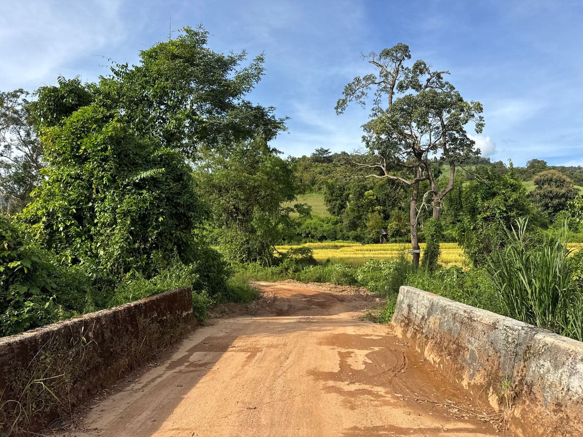 Mae Sa to Mae Chaem - The Long Way — photo 12