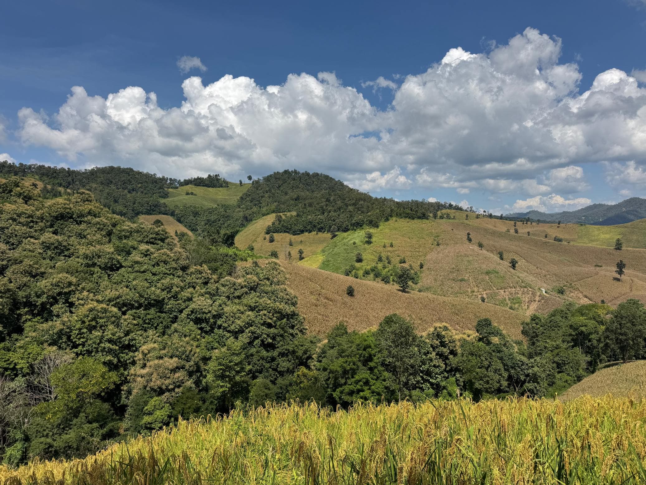 Mae Sa to Mae Chaem - The Long Way — photo 15