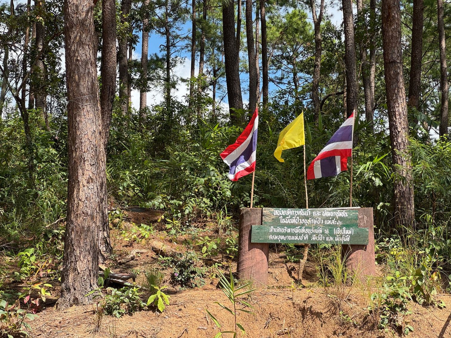 Mae Sa to Mae Chaem - The Long Way — photo 19