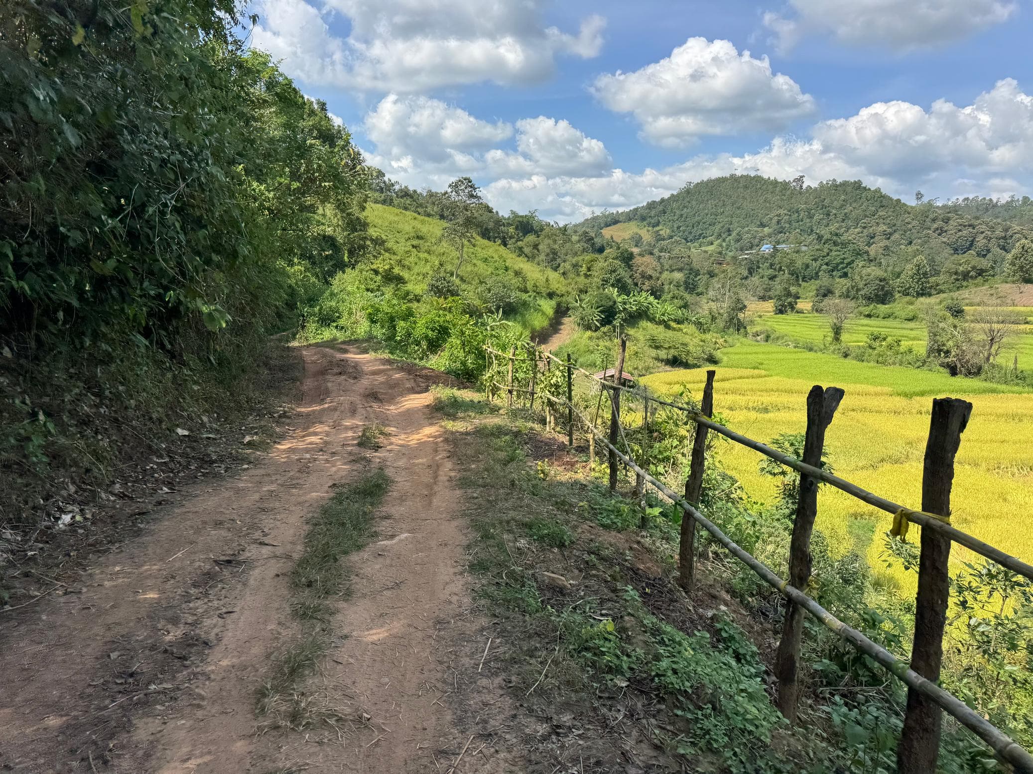 Mae Sa to Mae Chaem - The Long Way — photo 21