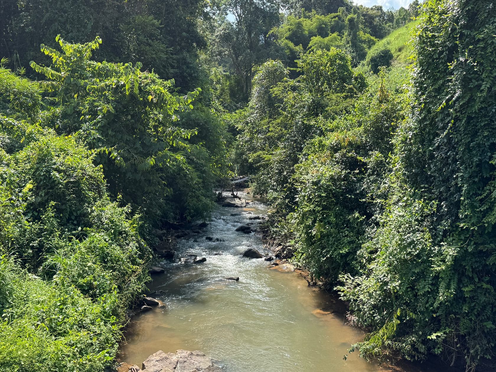Mae Sa to Mae Chaem - The Long Way — photo 24