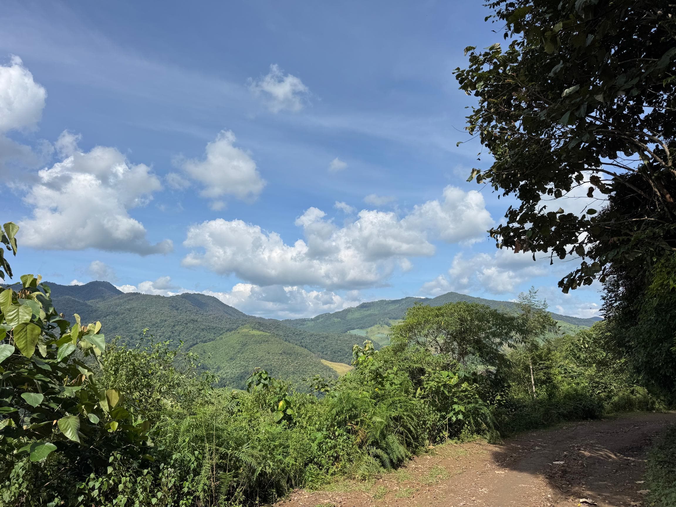Mae Sa to Mae Chaem - The Long Way — photo 27