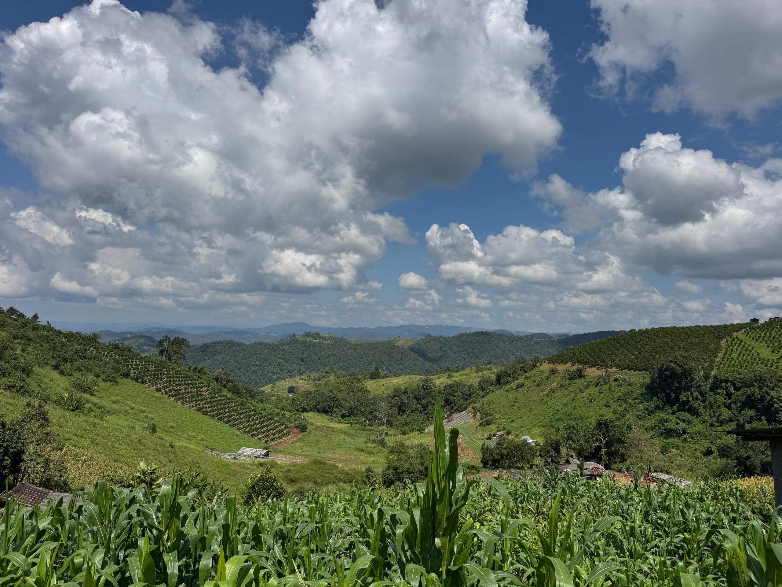 Mae Sa to Mae Chaem - The Long Way — photo 30