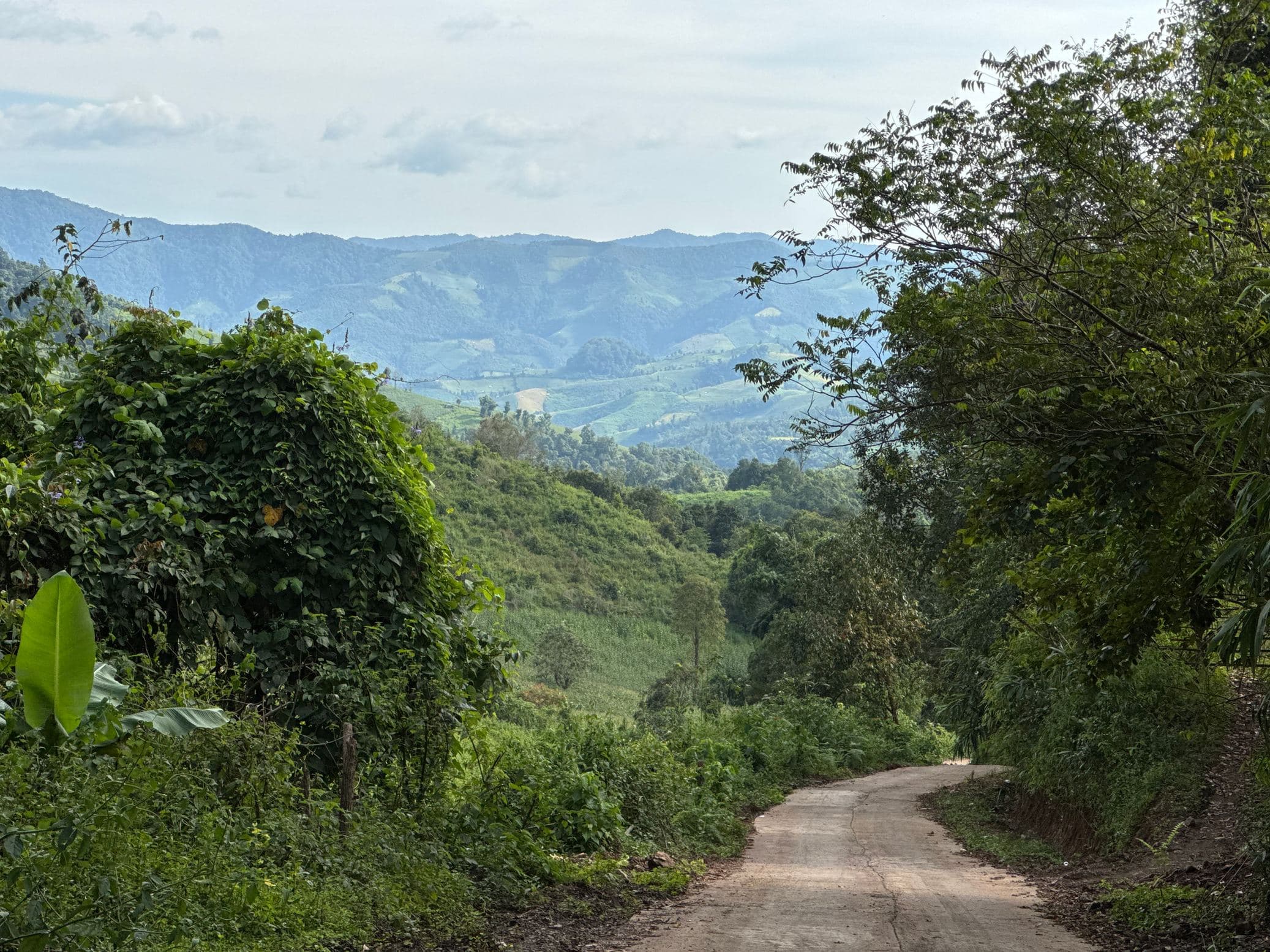 Mae Sa to Mae Chaem - The Long Way — photo 32