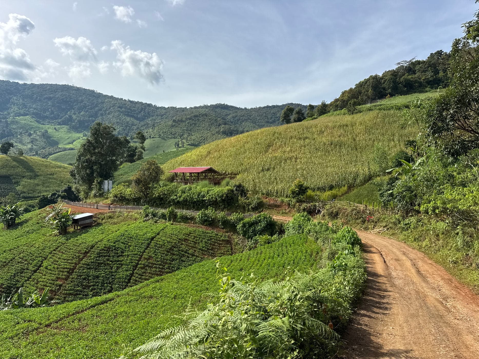 Mae Sa to Mae Chaem - The Long Way — photo 35