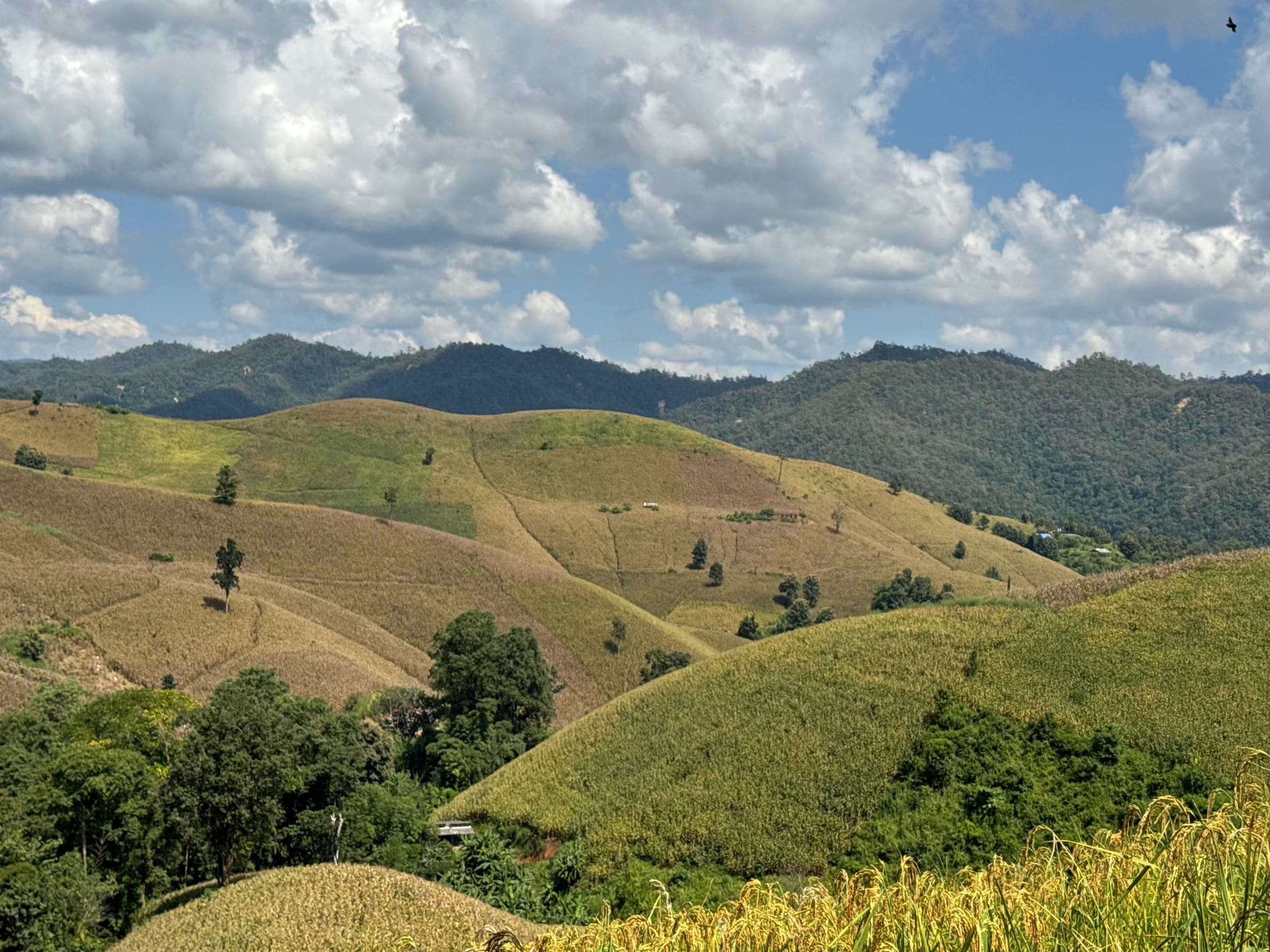 Mae Sa to Mae Chaem - The Long Way — photo 36
