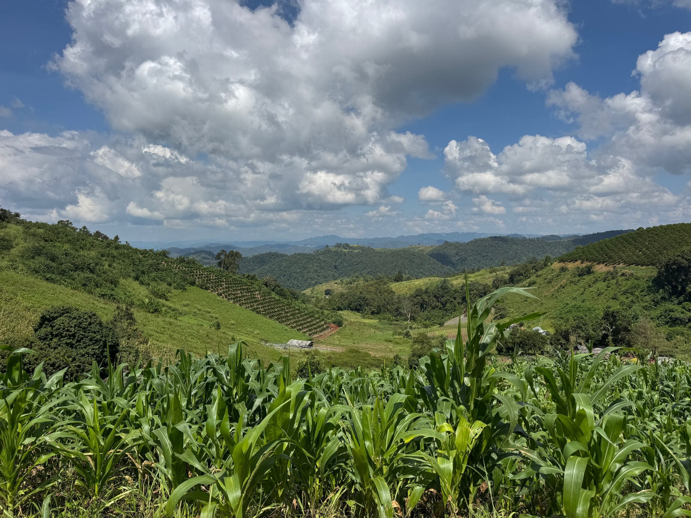 Mae Sa to Mae Chaem - The Long Way — photo 38