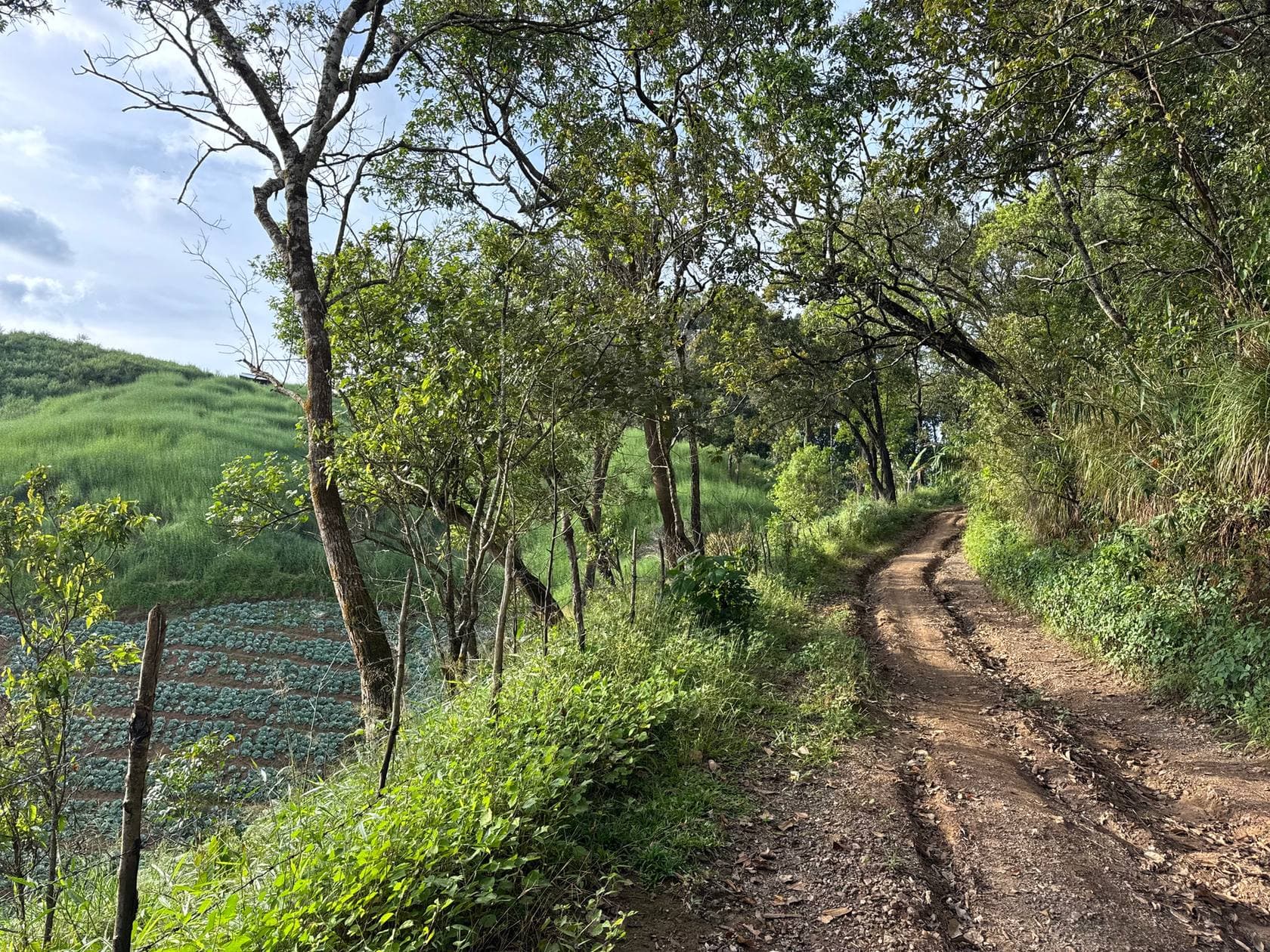 Mae Sa to Mae Chaem - The Long Way — photo 40
