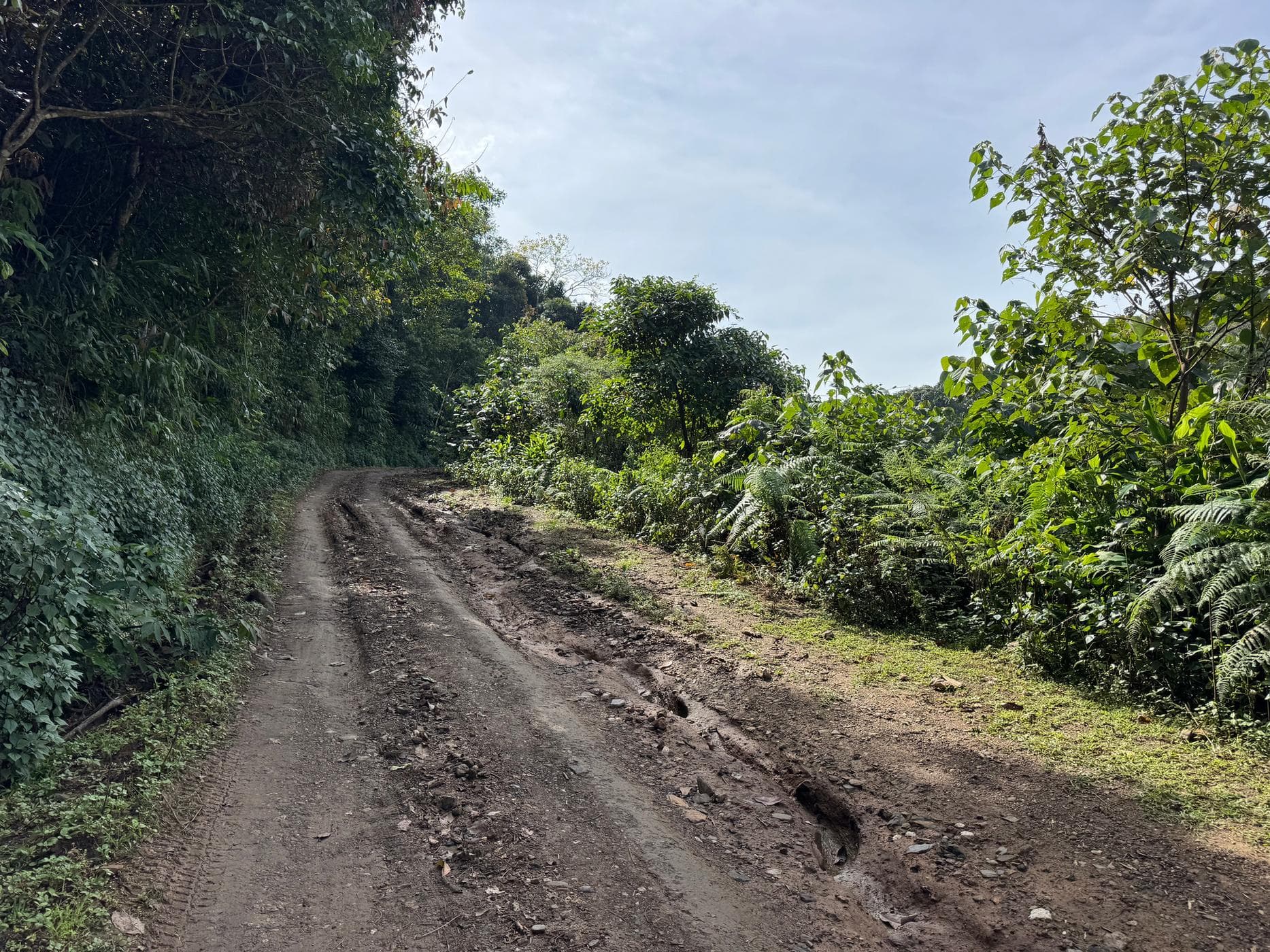 Mae Sa to Mae Chaem - The Long Way — photo 43
