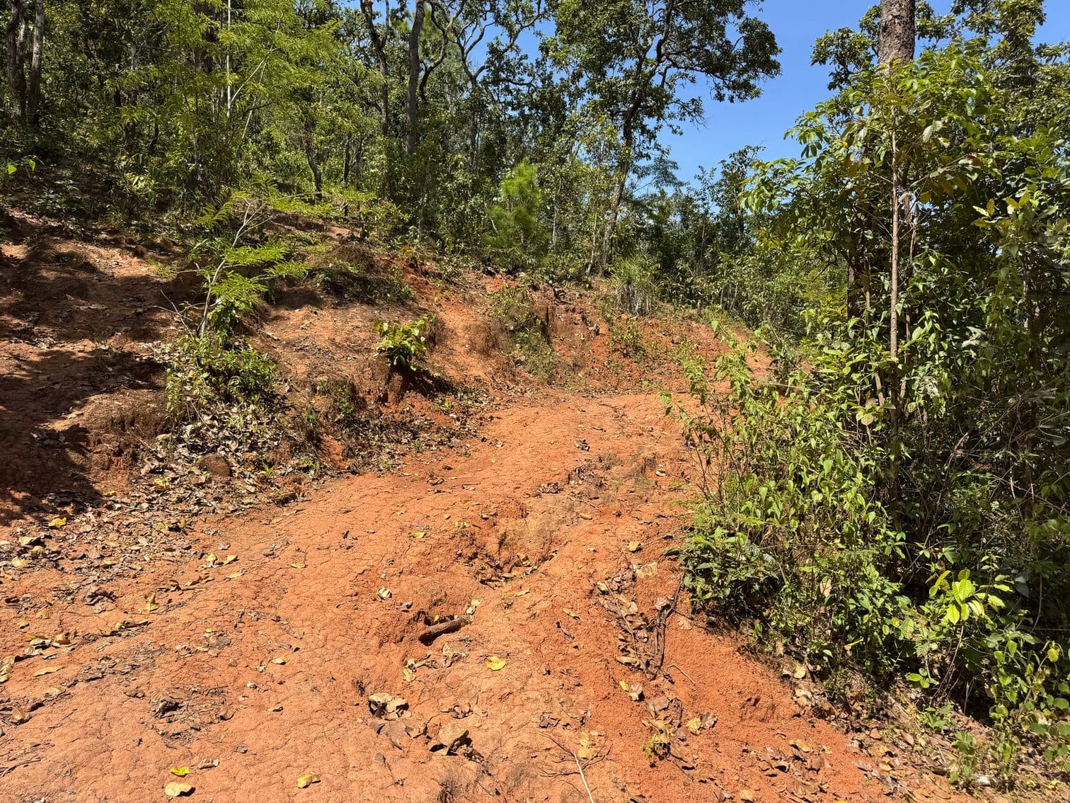 Mae Sa to Mae Chaem - The Long Way — photo 48