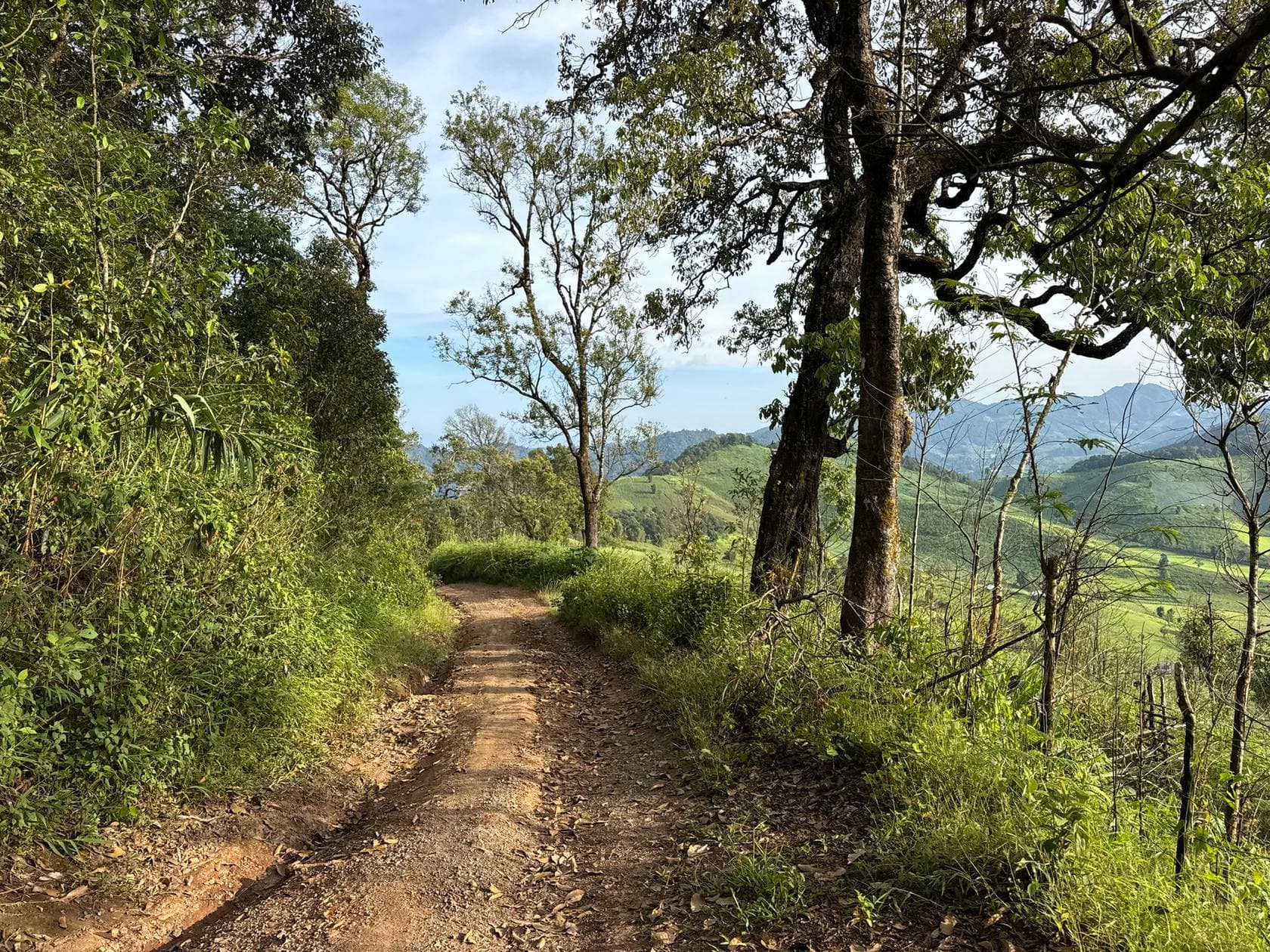 Mae Sa to Mae Chaem - The Long Way — photo 50