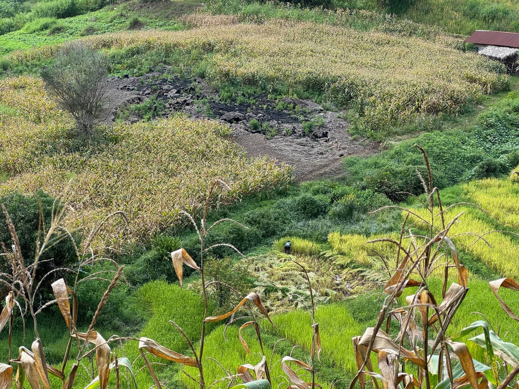 Mae Sa to Mae Chaem - The Long Way — photo 51
