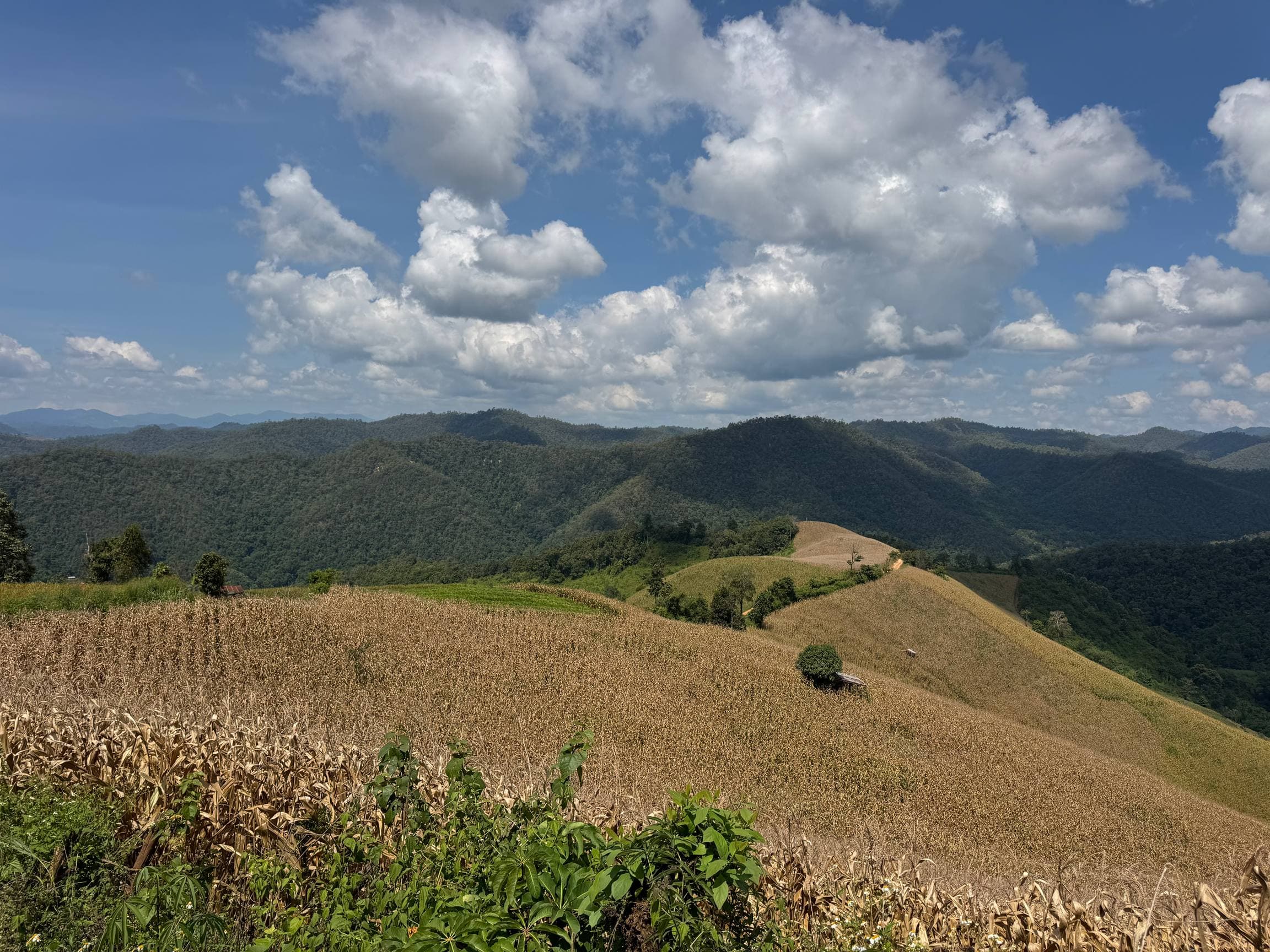 Mae Sa to Mae Chaem - The Long Way — photo 53
