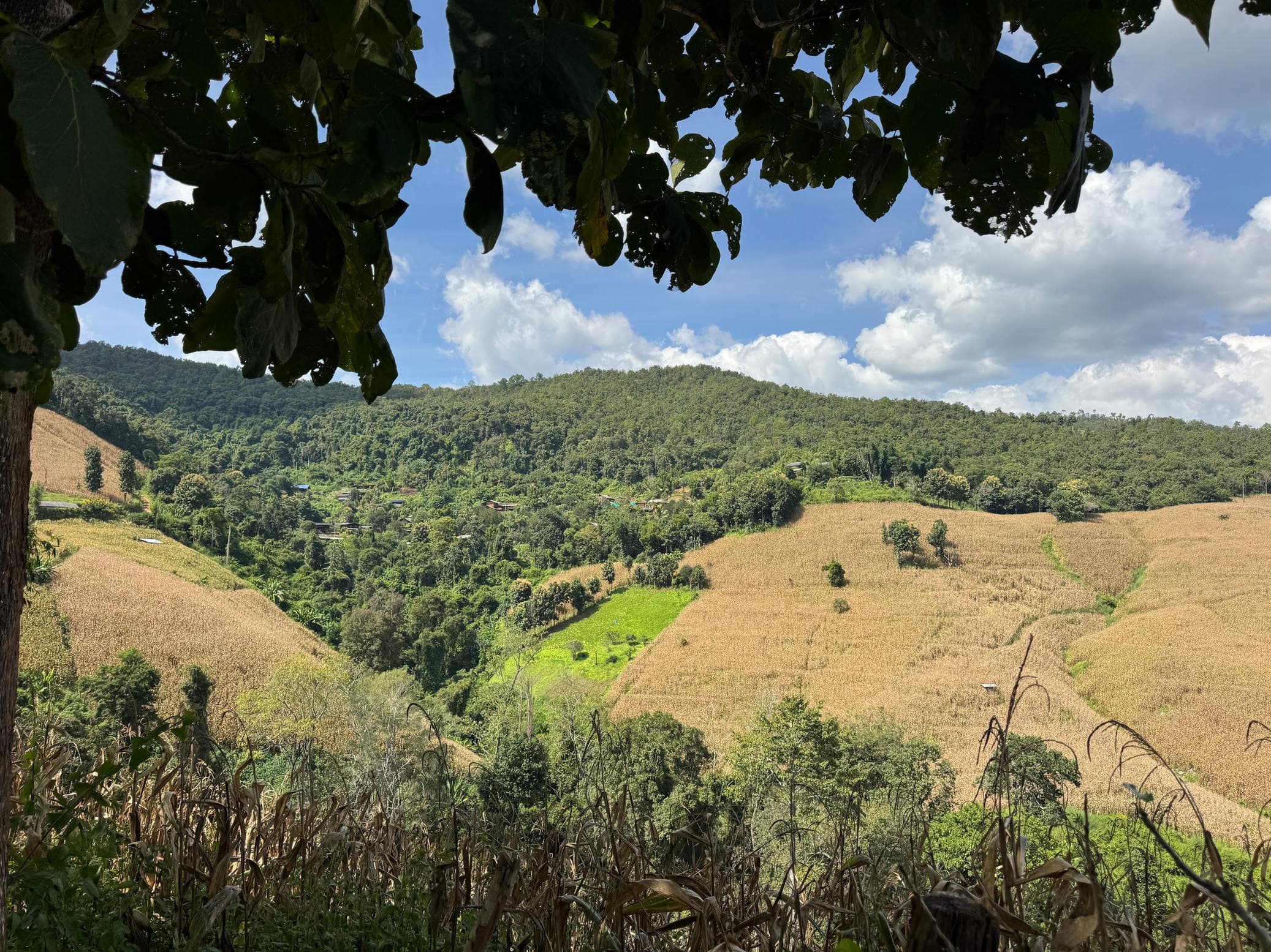 Mae Sa to Mae Chaem - The Long Way — photo 54