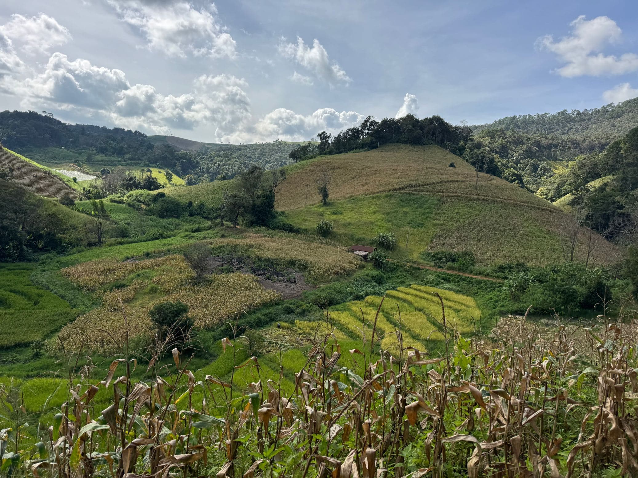 Mae Sa to Mae Chaem - The Long Way — photo 55